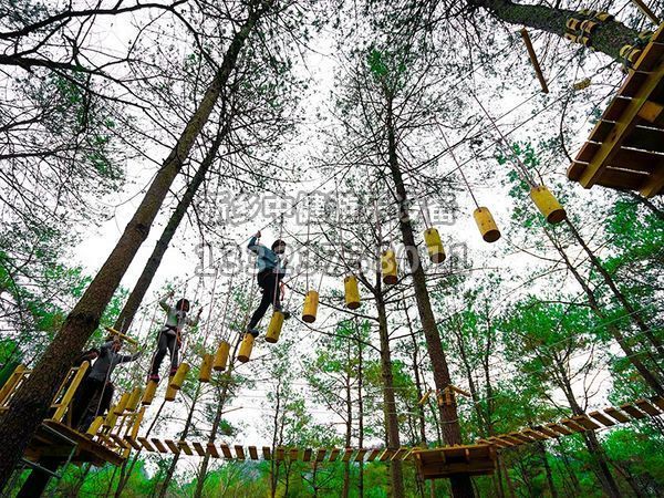 叢林穿越設備的搭建對環境有影響嗎？